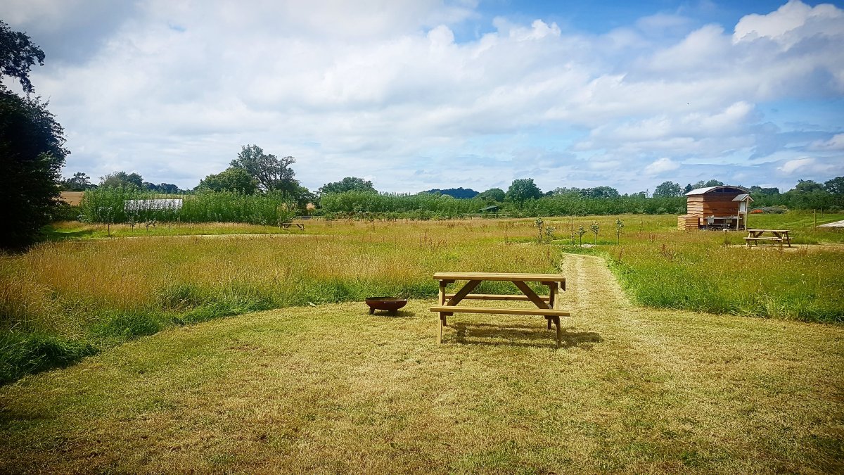 The Lorax Patch campsite meadow with picnic bench and fire pit, Somerset countryside